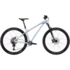 Vitus Sentier 29 VRS Mountain Bike